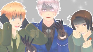 [APH/MMD] Brothers are not Totally Fine!