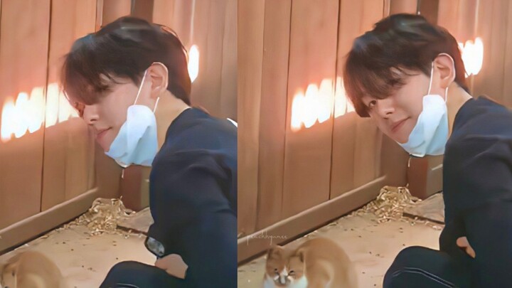 【Byun Baekhyun】Baekhyun yang membelai kucing! Pacar yang baik! 220506 pembaruan Twitter dengan penga