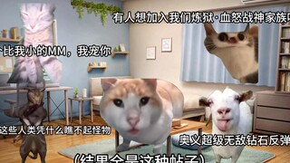 【猫meme】小学尝试做MC博主并闯入不明论坛结果迷之有人气的故事（上）