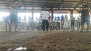 Win at RCC, unscratch WWDW