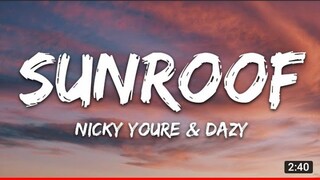 Nicky Youre, dazy - Sunroof (Lyrics)