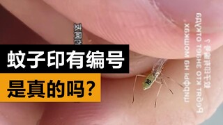Rumors debunked: The recently popular "No. 38 Mosquito" is actually not a "mosquito" at all!