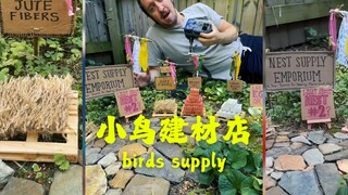 Toko Bahan Bangunan Burung Kecil Baru Dibuka 🐦🪵🔧