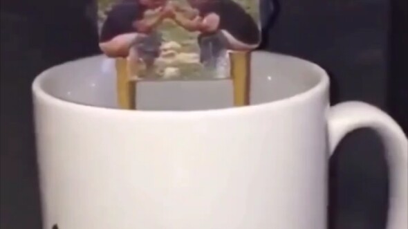 Is there a possibility that this is real?