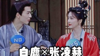 【白鹿×张凌赫】白年好赫 ||我也不想嗑啊！但是他们也太甜了吧！|| 0904《宁安如梦》直播糖点 ||走在嗑糖前线