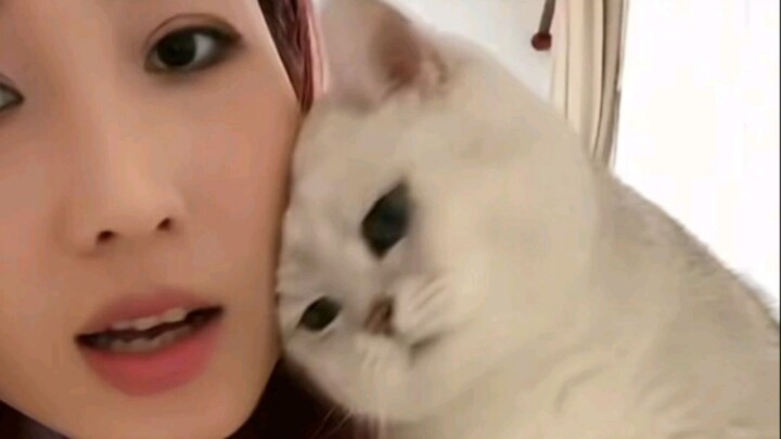 เมื่อคุณพ่อเฟินเจอคุณแม่เฟินแสนอ่อนโยน กลับหลงทางในเสียงพูดติดแอ๊กที่ดังขึ้นเรื่อยๆ จนกลายเป็นพ่อลูก