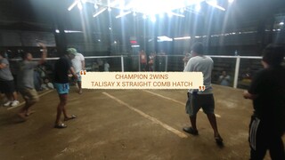 Champion 2wins Talisay x Hatch