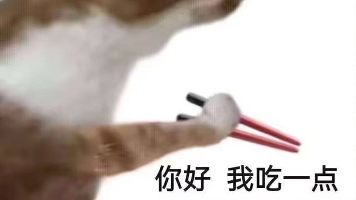 🐱: It really is Chinese New Year!