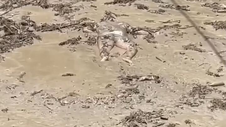 Nepal flood
