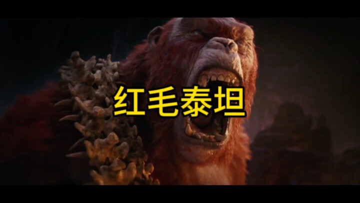 اتضح أن حتى جينغ قانغ لديه خصوم يخاف منهم