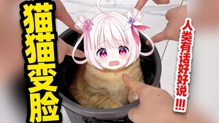 Cats will also change their faces when they are besieged! ! !