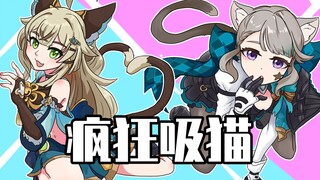 Wise Genshin Impact: Bú mèo và bắt được bà chủ Lữ khách: Tôi có thể làm được!