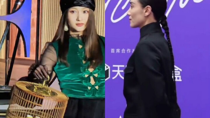 “Money Rat-Tail Cage Bird Walking” — What Kind of Fashion Is This?