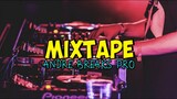 MIXTAPE DISCO TANAH❗ (Andre Breaks Pro - Gusty Remixer )