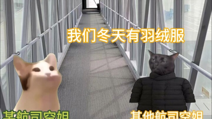 ทำอย่างไรให้แอร์โฮสเตสเสียขวัญ