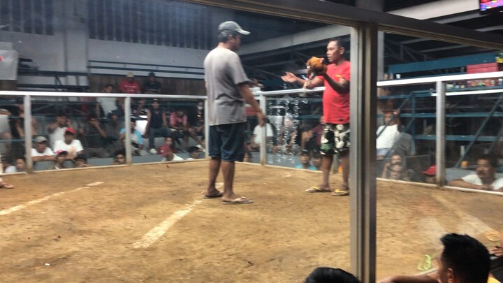 San miguel cockpit bulacan