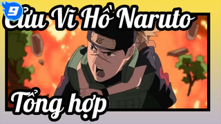 Cửu Vĩ Hồ |Bộ sưu tập về Võ Thuật_A9