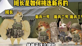 部队里班长是如何挑选新兵的