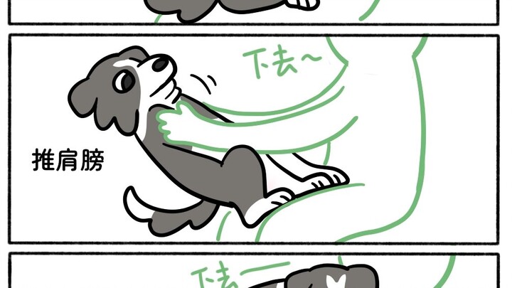 Dog, the core is very stable.