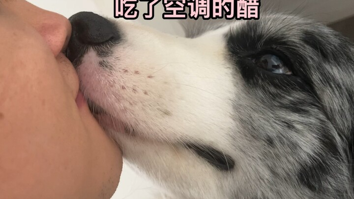 Buatlah pilihan: aku yang lebih penting atau AC yang lebih penting?