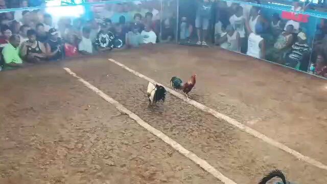 win 3fight