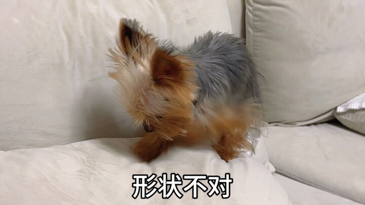 Bàn tay nhỏ xíu của bé có thể thay đổi cả thế giới!