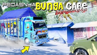 BUNGA CABE SPESIAL RENG MERENGNYA BANYUWANGI