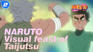 NARUTO   Visual feast of Taijutsu！_2
