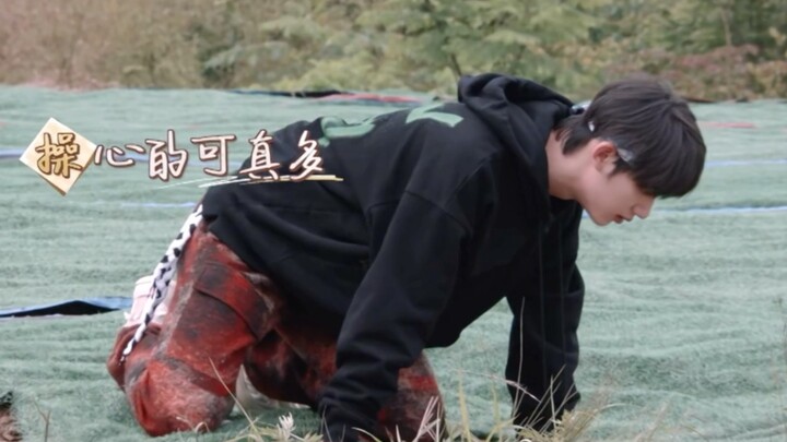 One second: Worried. Next second: Hey, ants are搬家!