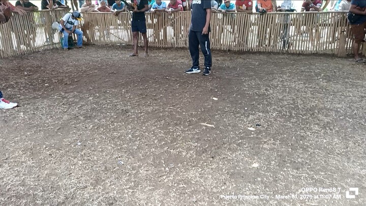 1st fight bulik babalik vs pula banderado