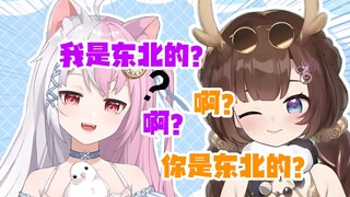 【狍&狐】啊？雪狐是东北的？？？