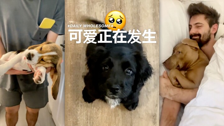 Something Cute Is Happening