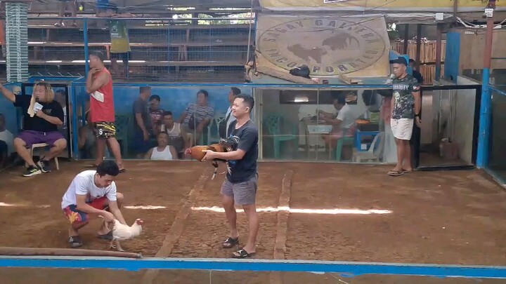 win 1fight