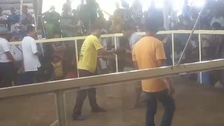 Kabilang Side Nman Ng Manok Ko... Gensan Line...