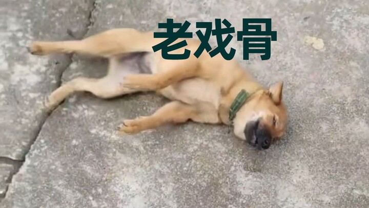 الفن يُذهل الجميع!