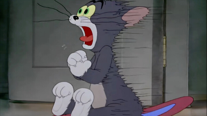 Tom is also a kitten, haha, not easily scared