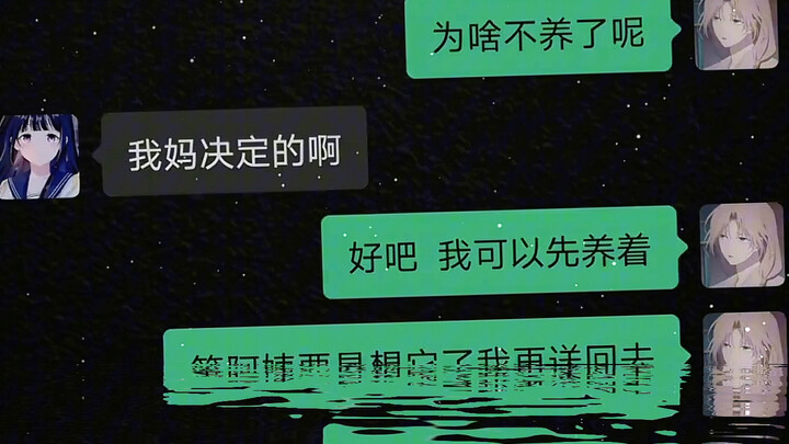 啊？？？