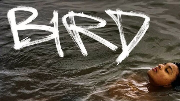 Bird - 2024 - sub indo