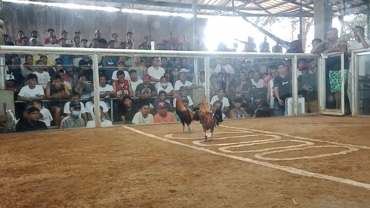 3HITS ULUTAN SA NSQCA DEC. 24, 2023 2NDFIGHT WIN