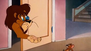 Tom and Jerry | Buddies for life