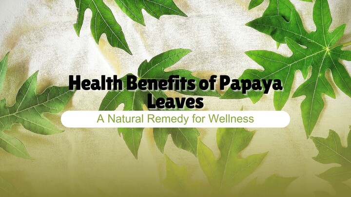 Health Benefits of Papaya Leaves A Natural Remedy for Wellness