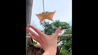 ดูมากกว่าหนึ่งรอบ5555555