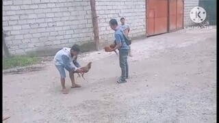 👍👍👍👌👌👌😱😱