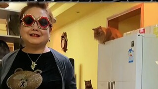 Let grandma take you to buy cat food