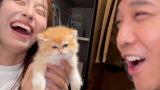 给猫起名字这个事儿 我可是太擅长了！