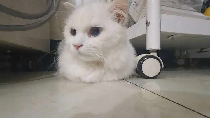 #BuildaGame#39226955