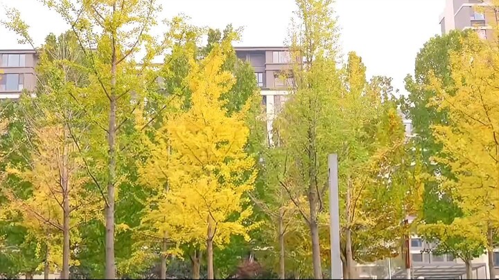 Guru Surgawi Penakluk Dunia