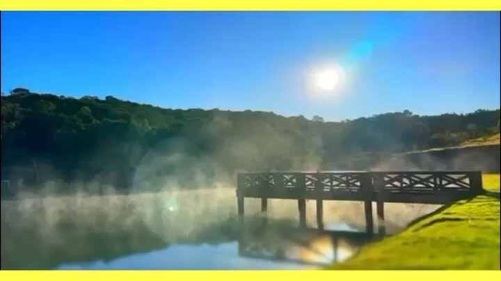 9° PARTE PODA DA PEREIRA SITIO RECANTO DAS AGUAS PIEDADE SP SP  529B