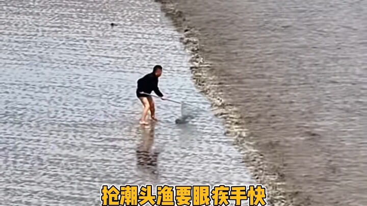 Việc tranh bắt cá đầu sóng rất nguy hiểm, quý vị không nên xuống ao bắt theo nhé!