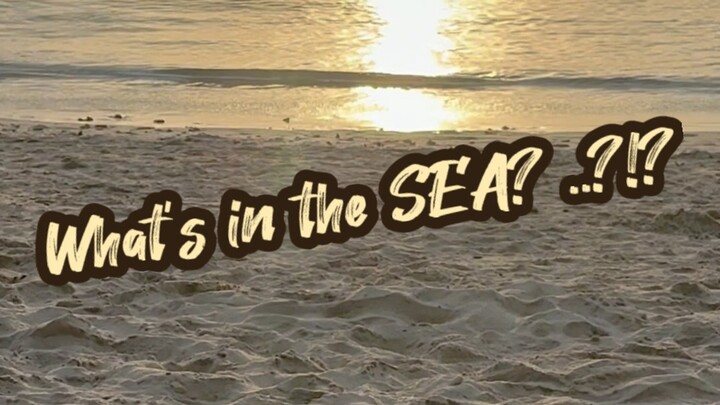 ทะเลยังมีทราย เมื่อไหร่ใจนายจะมีเรา 🌴🌊